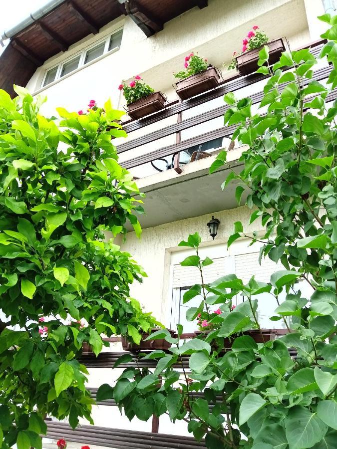 Apartman Kod Dide I Bake Vukovar Exterior photo